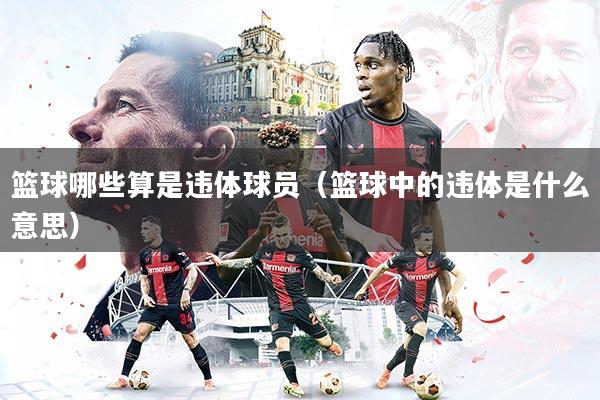 篮球哪些算是违体球员（篮球中的违体是什么意思）