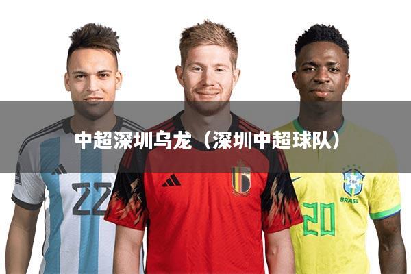 中超深圳乌龙(深圳中超球队)