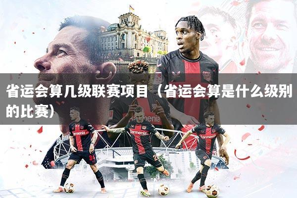 省运会算几级联赛项目（省运会算是什么级别的比赛）