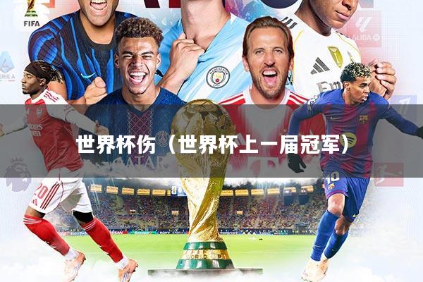 世界杯伤（世界杯上一届冠军）
