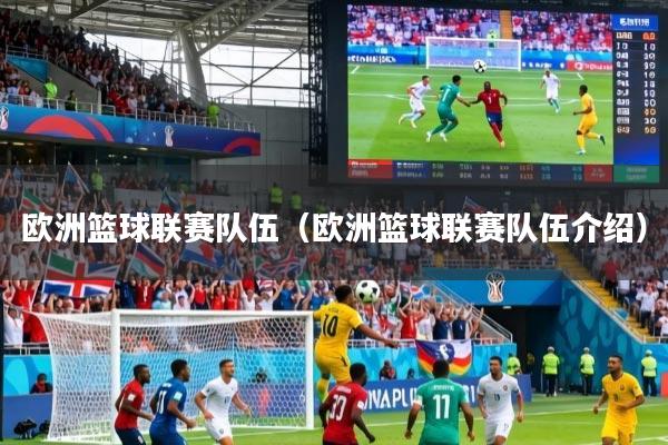 欧洲篮球联赛队伍（欧洲篮球联赛队伍介绍）